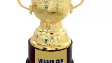trophy manufacturers delhi