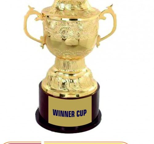 trophy manufacturers delhi